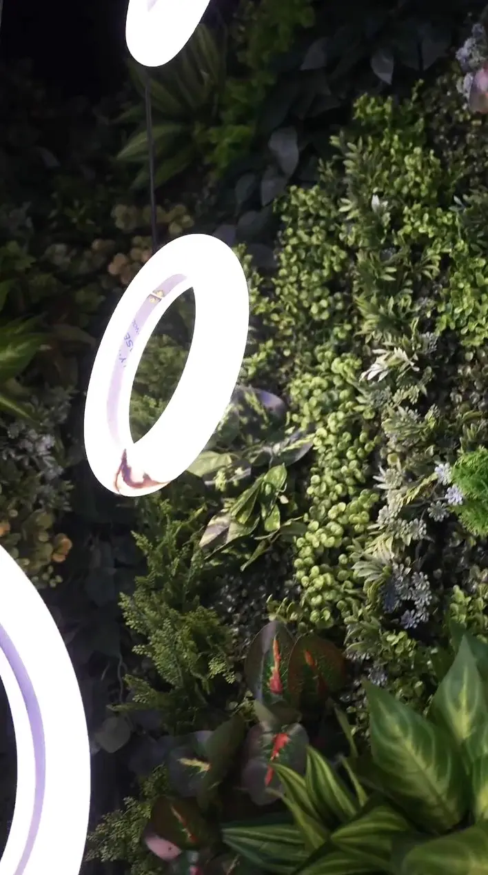 Neon ring details in front of the planted wall