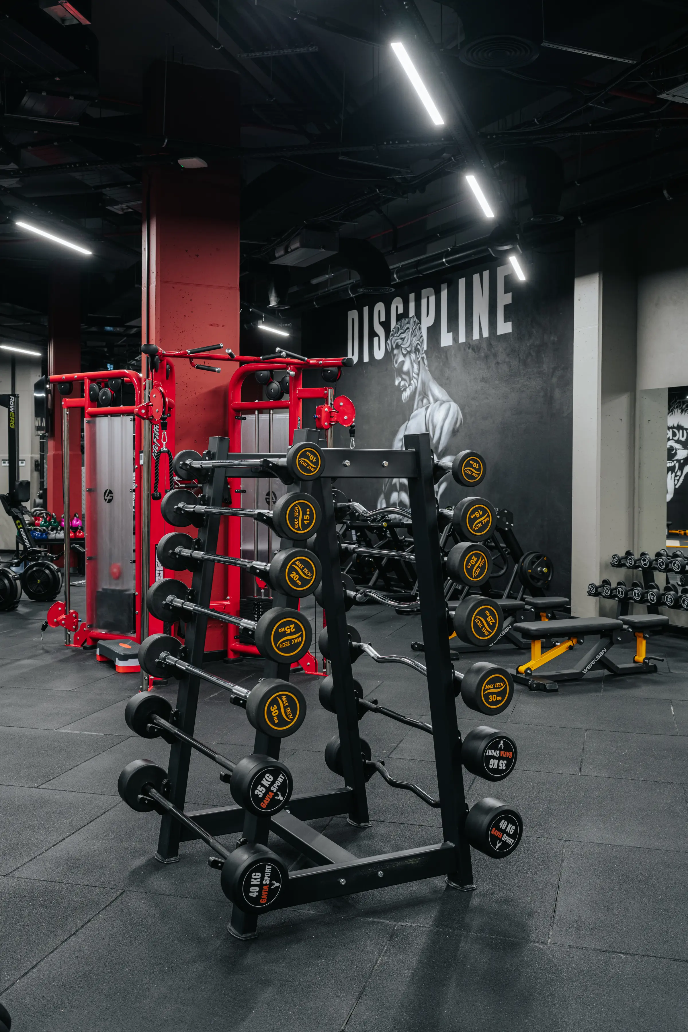 Renkli plakalı barbell rafı, kırmızı kolon ve duvarda 'DISCIPLINE' muralı.