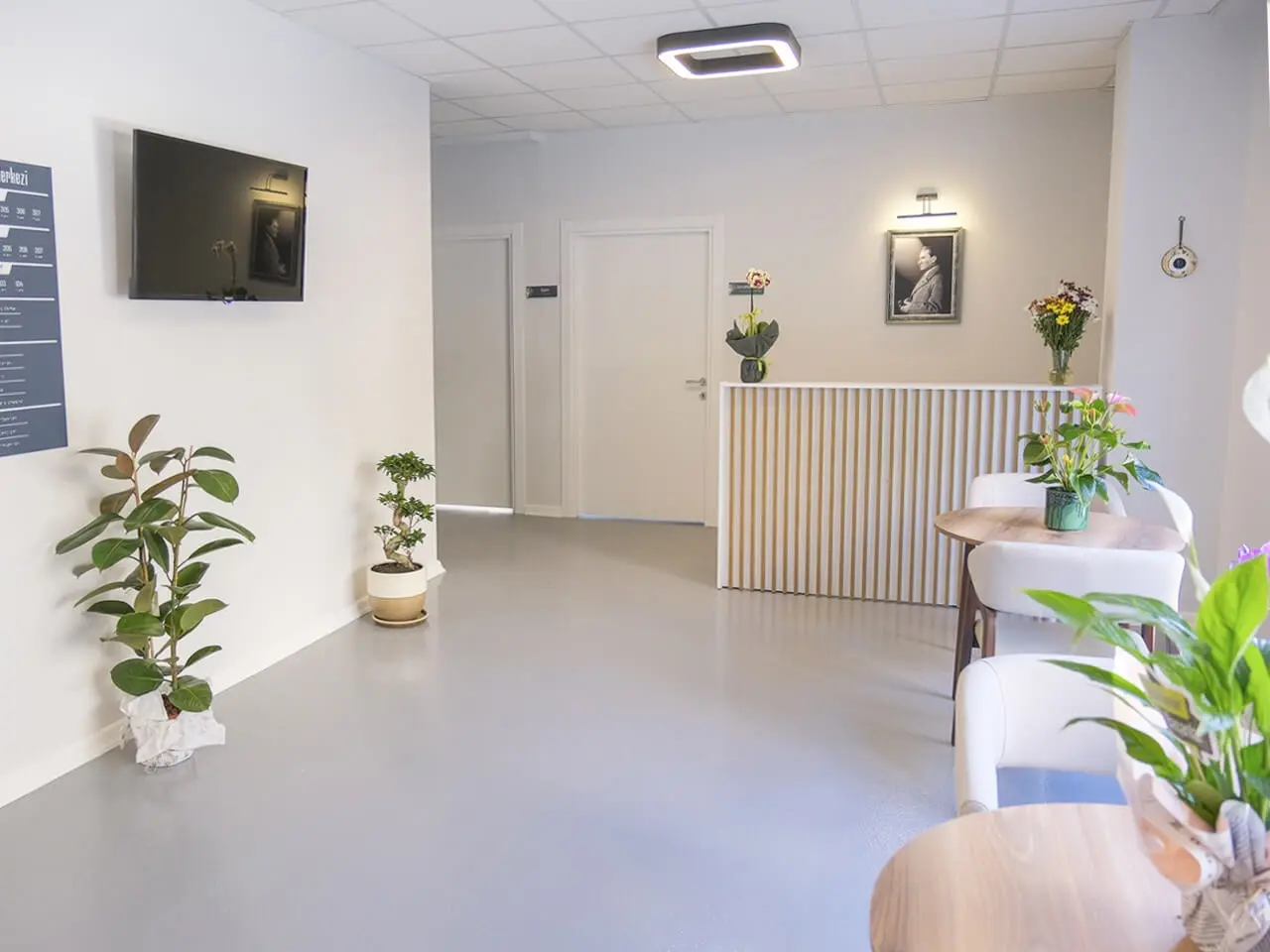 Reception and corridor with a slatted desk, potted plants and a wall-mounted screen.
